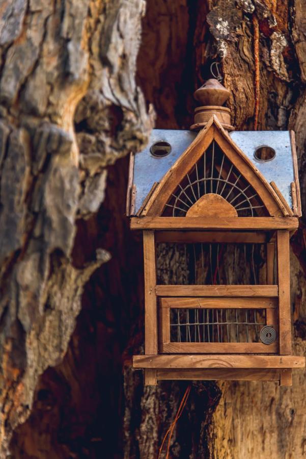Traditional Guesthouses Xenofon Drymon Bagian luar foto